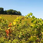 Colle Serrano Relais & * Ripatransone
