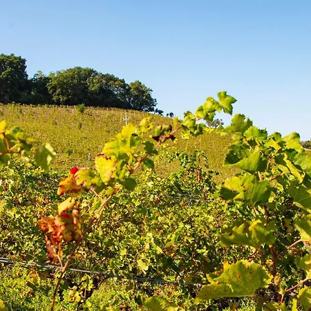 Colle Serrano Relais & * Ripatransone