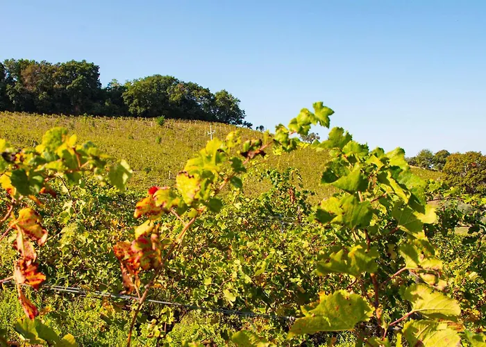 Colle Serrano Relais & * 里帕特兰索内